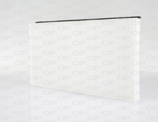 Filter, cabin air (CAF2119.01)