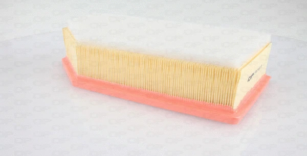 Air Filter (EAF3467.10)