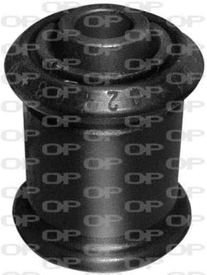 Mounting, control/trailing arm (SSS1067.11)
