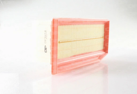 Air Filter (EAF3663.10)