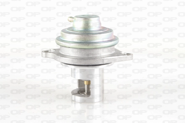 EGR Valve (EGR3021.00)