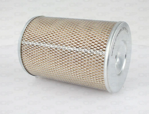 Air Filter (EAF3414.20)