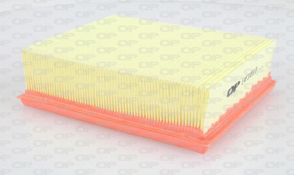 Air Filter (EAF3089.10)