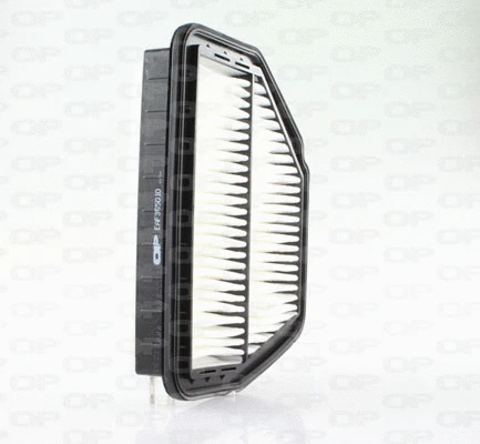 Air Filter (EAF3650.10)