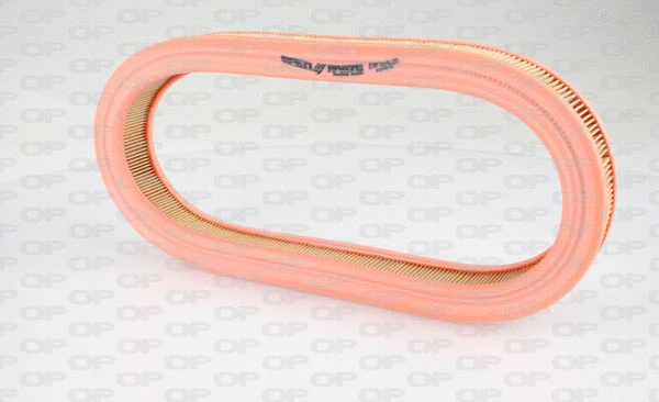 Air Filter (EAF3241.20)