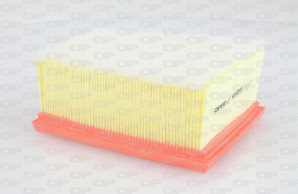 Air Filter (EAF3076.10)