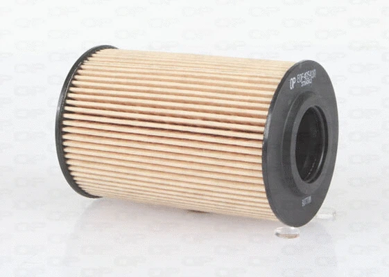 Oil Filter (EOF4054.10)