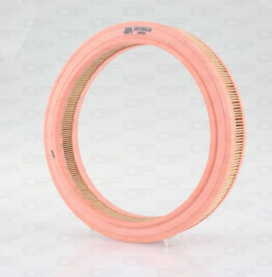 Air Filter (EAF3565.20)