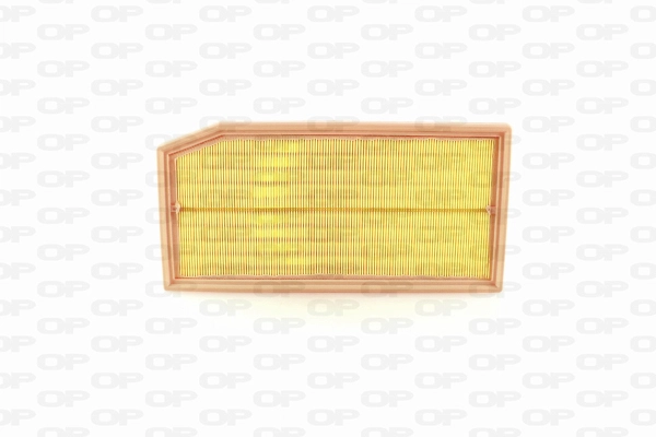 Air Filter (EAF3727.10)