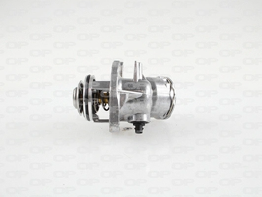 Thermostat, coolant (TRM1100.00)