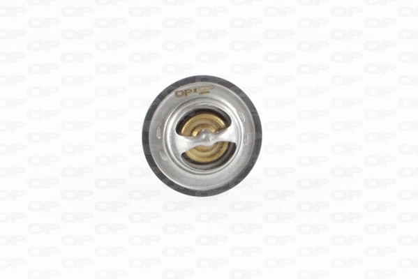 Thermostat, coolant (TRM1010.00)