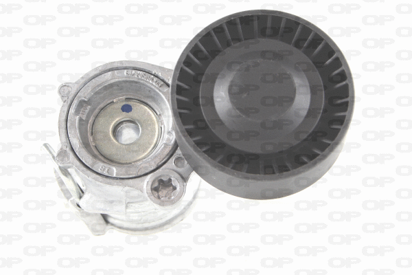 Belt Tensioner, V-ribbed belt (ACT2180.00)