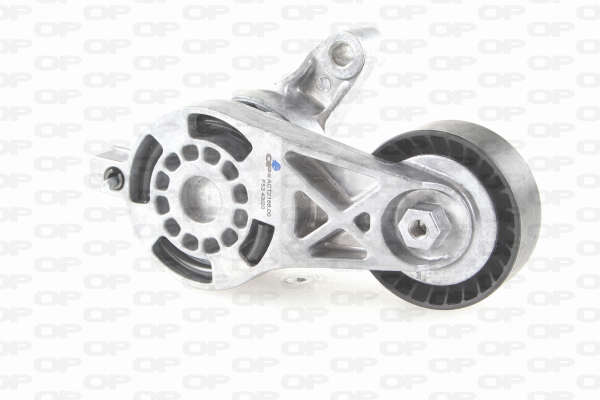 Belt Tensioner, V-ribbed belt (ACT2166.00)