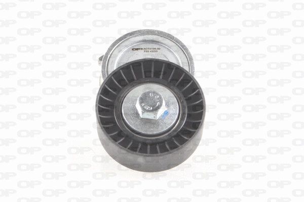 Belt Tensioner, V-ribbed belt (ACT2196.00)