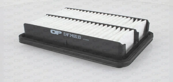 Air Filter (EAF3400.10)