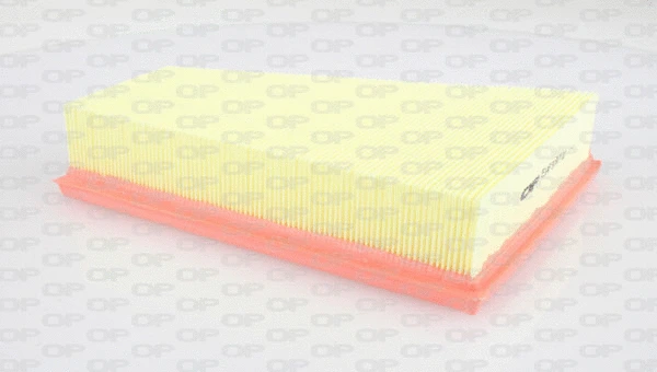 Air Filter (EAF3197.10)