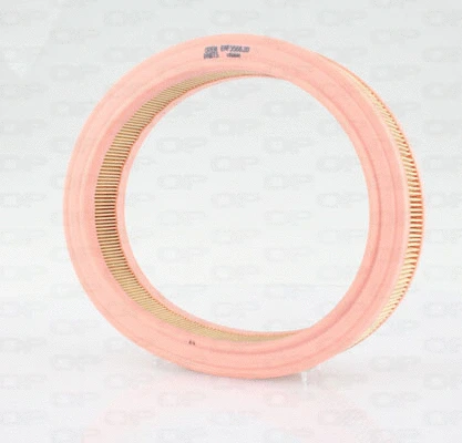 Air Filter (EAF3566.20)