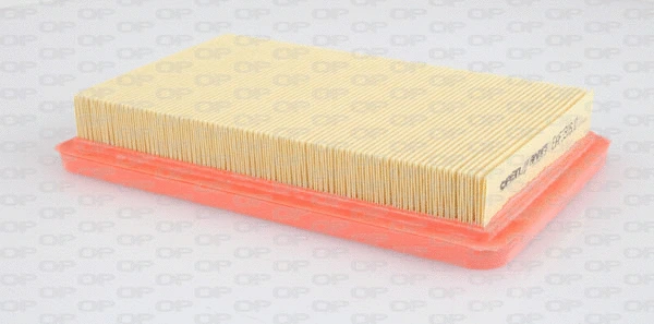 Air Filter (EAF3316.10)