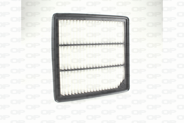 Air Filter (EAF3730.10)