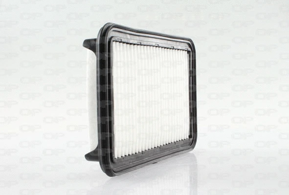 Air Filter (EAF3661.10)