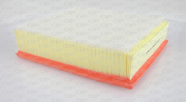 Air Filter (EAF3148.10)