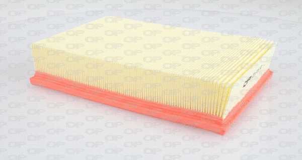 Air Filter (EAF3161.10)