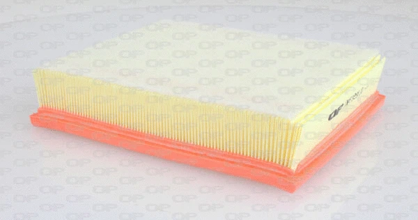 Air Filter (EAF3298.10)