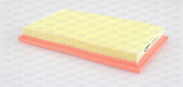 Air Filter (EAF3189.10)