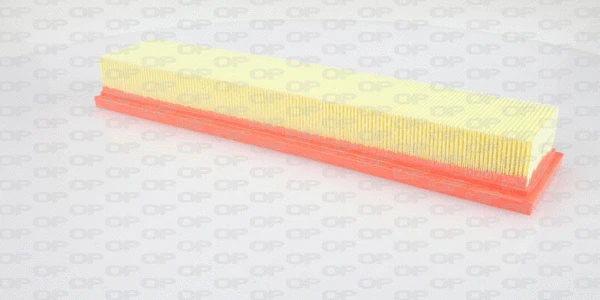 Air Filter (EAF3145.10)