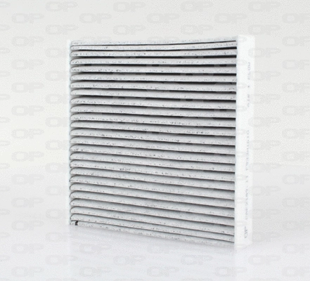 Filter, cabin air (CAF2189.11)