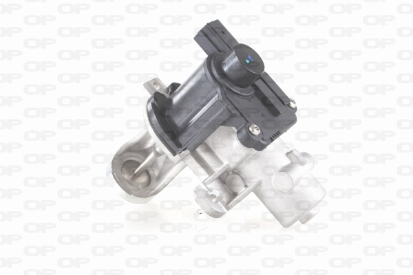 EGR Valve (EGR3045.00)