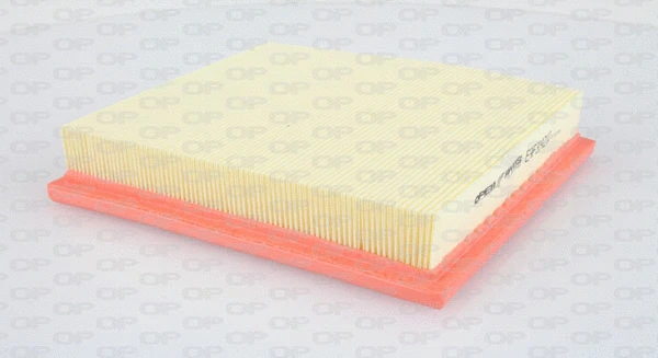 Air Filter (EAF3142.10)