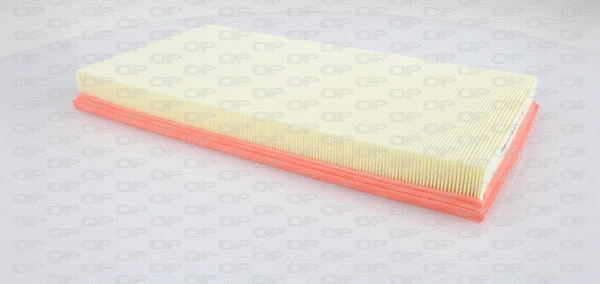 Air Filter (EAF3166.10)
