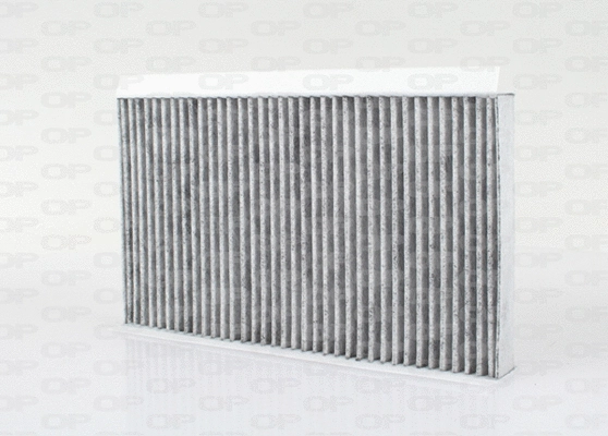 Filter, cabin air (CAF2172.11)