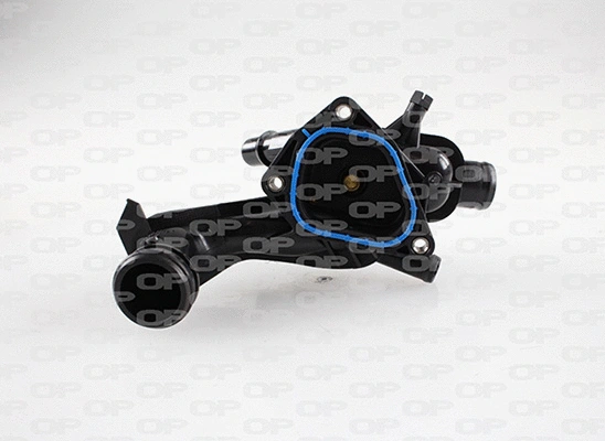 Thermostat, coolant (TRM1101.00)