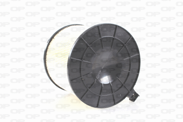 Air Filter (EAF3722.20)