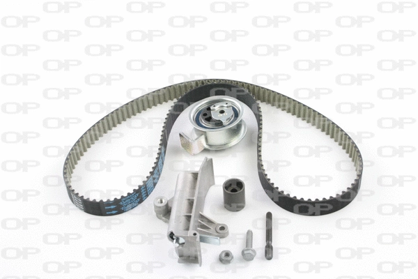 Timing Belt Kit (TBK5030.11)