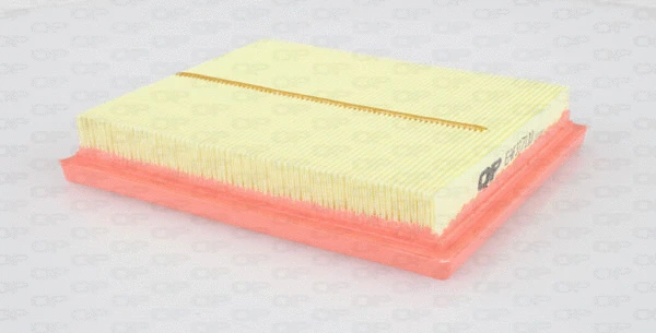 Air Filter (EAF3371.10)