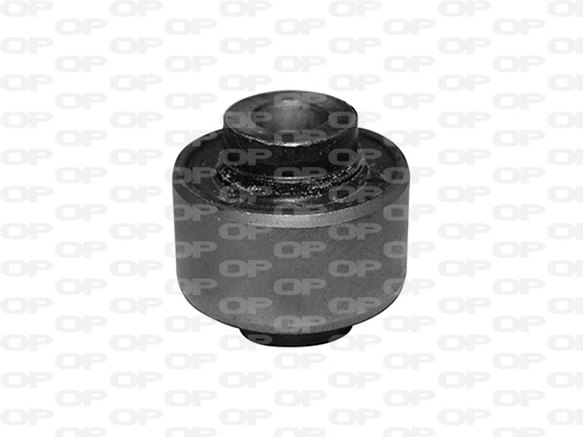 Mounting, control/trailing arm (SSS1237.11)