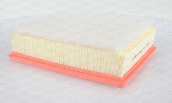 Air Filter (EAF3645.10)