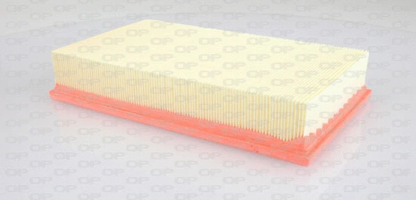 Air Filter (EAF3317.10)