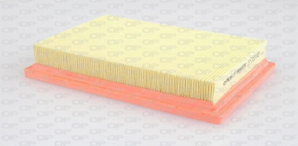 Air Filter (EAF3314.10)
