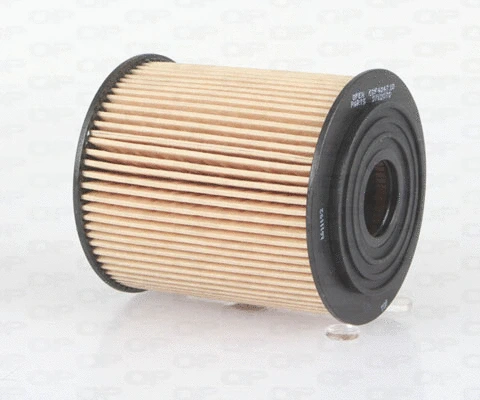 Oil Filter (EOF4047.10)