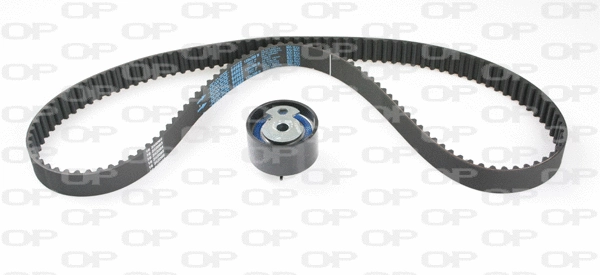 Timing Belt Kit (TBK5118.11)