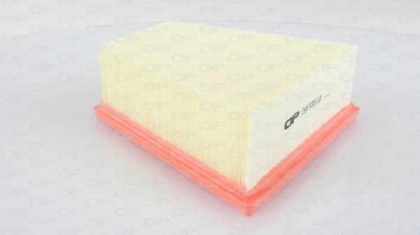 Air Filter (EAF3016.10)