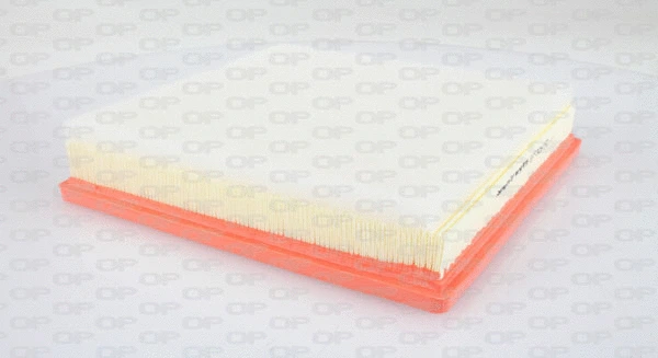 Air Filter (EAF3097.10)