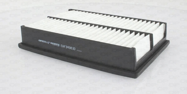 Air Filter (EAF3498.10)