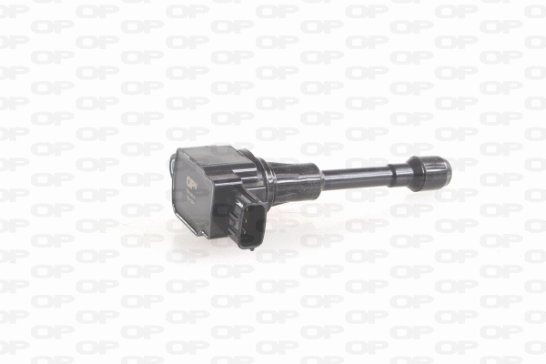 Ignition Coil (IGN1065.00)