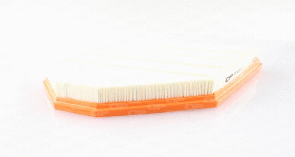 Air Filter (EAF3668.10)
