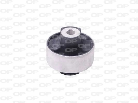 Mounting, control/trailing arm (SSS1175.11)